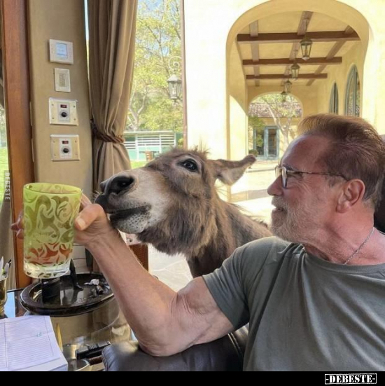  - Lustige Bilder | DEBESTE.de