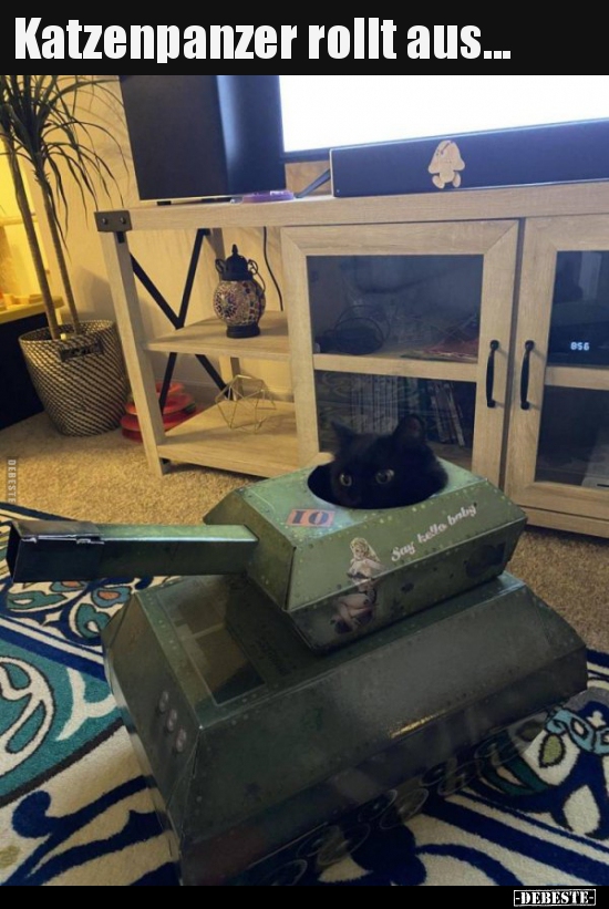Katzenpanzer rollt aus...