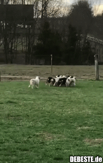 Zusammen schaffen wir das!