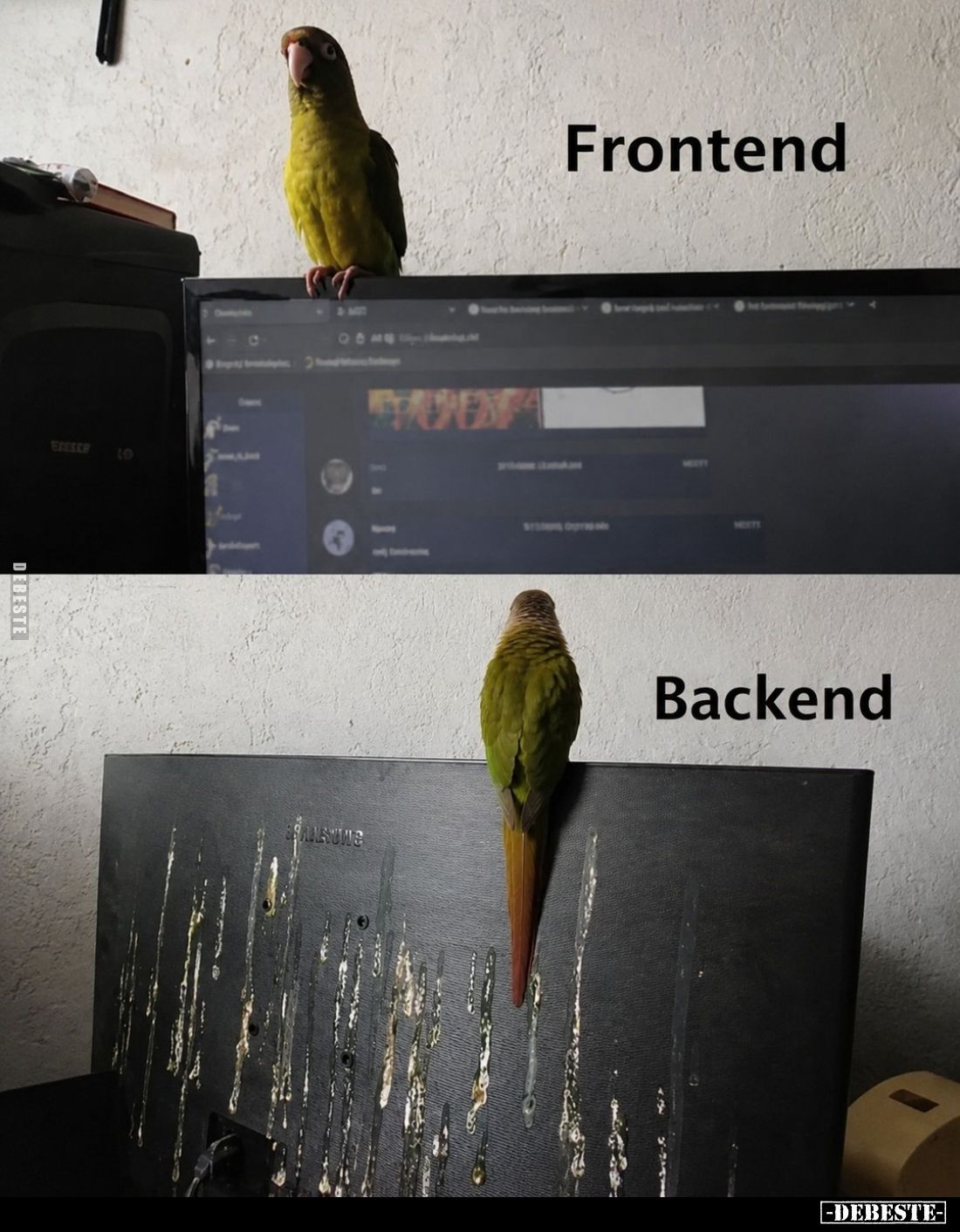 Frontend vs backend.