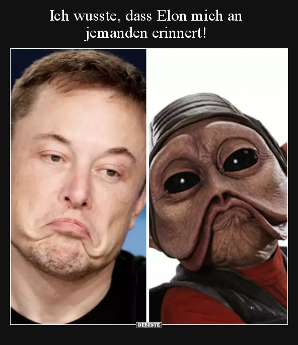 Ich wusste, dass Elon mich an jemanden erinnert!.. - Lustige Bilder | DEBESTE.de