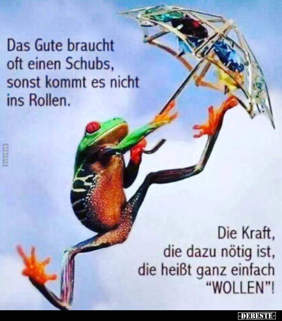 Das Gute braucht oft einen Schubs.. - Lustige Bilder | DEBESTE.de