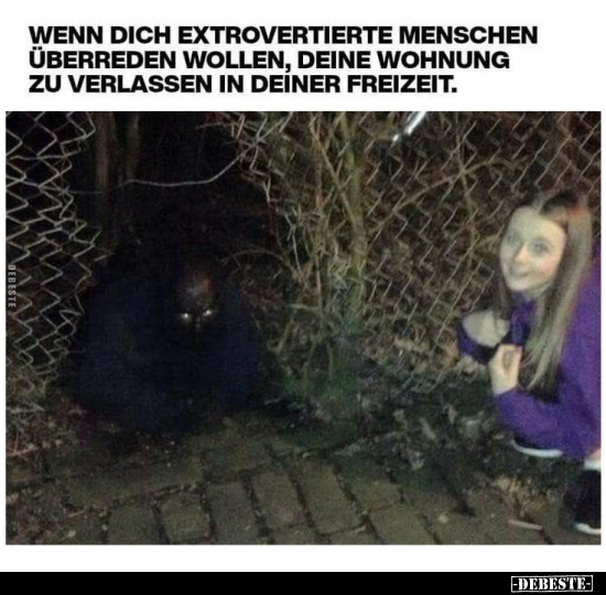 Wenn dich extrovertierte Menschen überreden wollen.. - Lustige Bilder | DEBESTE.de