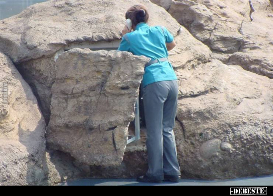  - Lustige Bilder | DEBESTE.de