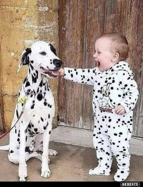  - Lustige Bilder | DEBESTE.de