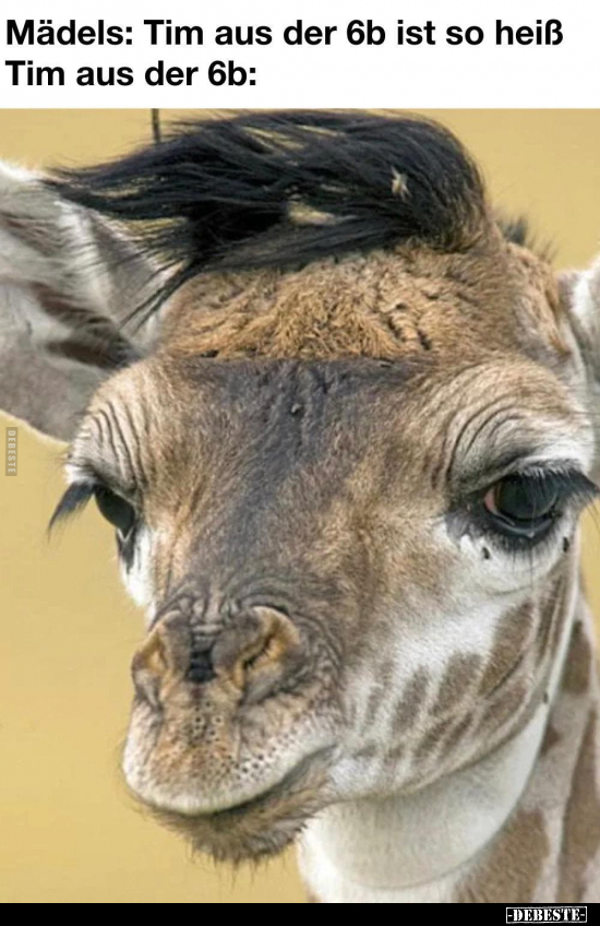 Mädels: Tim aus der 6b ist so heiß Tim aus der 6b: