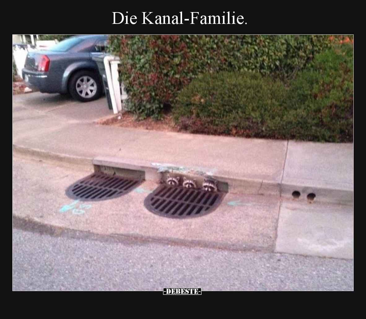 Die Kanal-Familie... - Lustige Bilder | DEBESTE.de