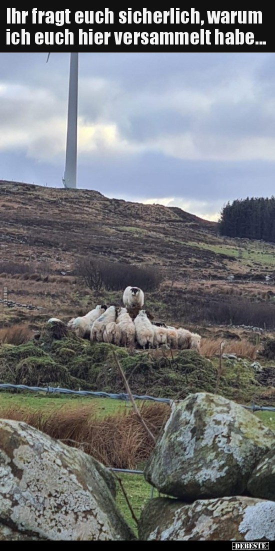 Ihr fragt euch sicherlich, warum ich euch hier versammelt..