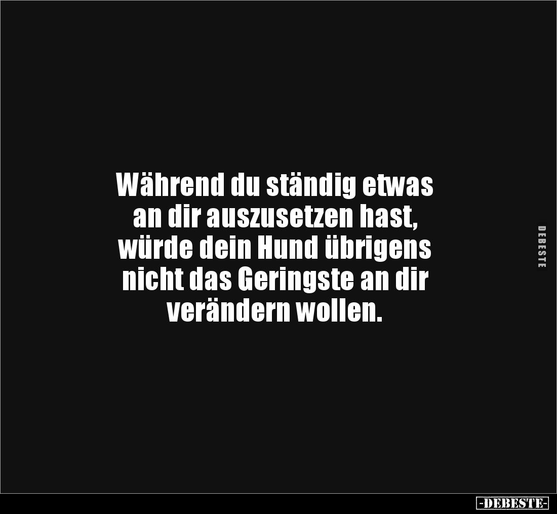 Während du ständig etwas
an dir auszusetzen hast, 
würde dein Hund übrigens 
nicht das Geringste an dir 
verändern wollen...