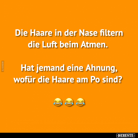 Die Haare in der Nase filtern die Luft beim Atmen... - Lustige Bilder | DEBESTE.de