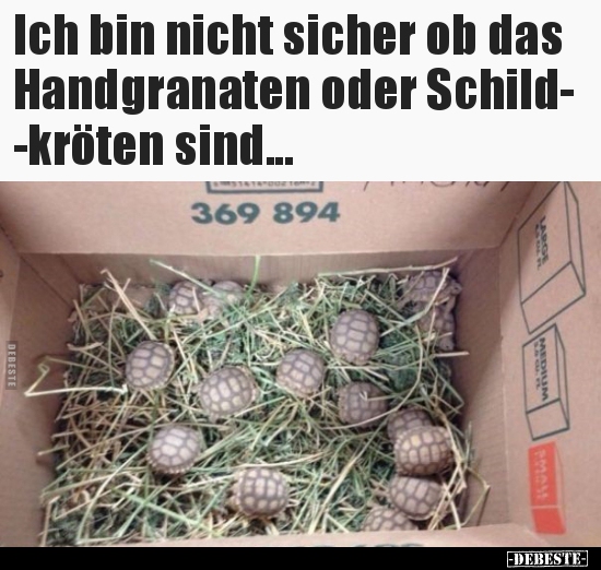 Ich bin nicht sicher ob das Handgranaten oder.. - Lustige Bilder | DEBESTE.de