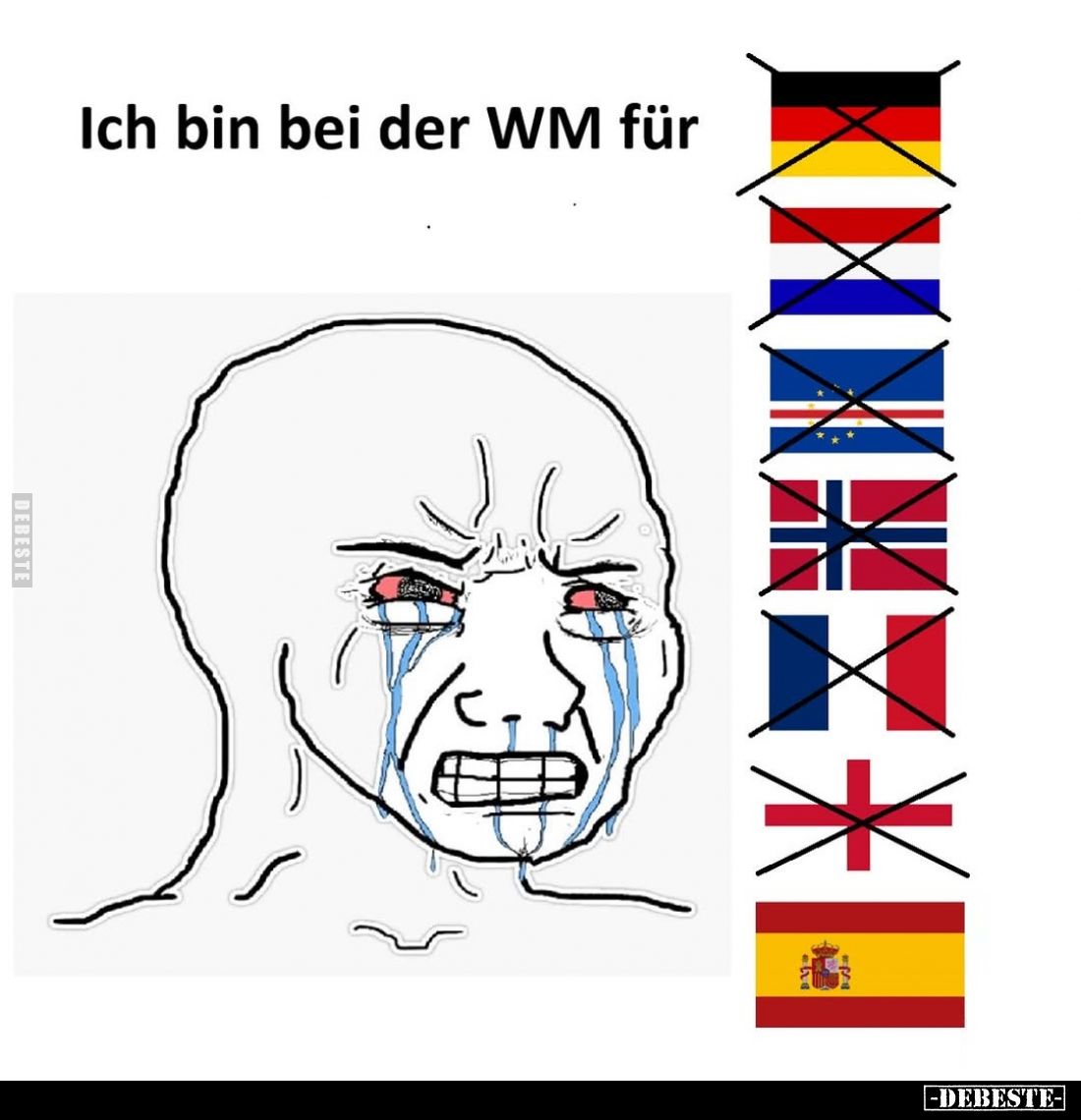 Ich bin bei der WM für...