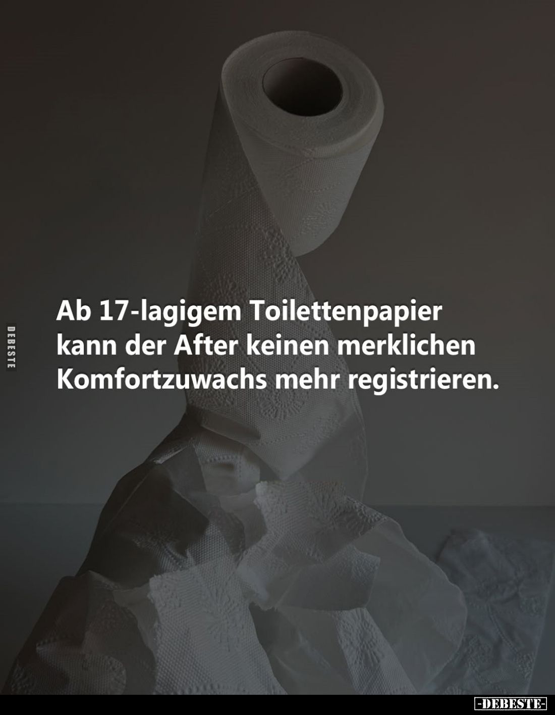 Ab 17-lagigem Toilettenpapier kann der After keinen merklichen Komfortzuwachs mehr registrieren.