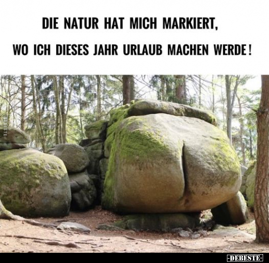 Urlaub, Natur, Laub