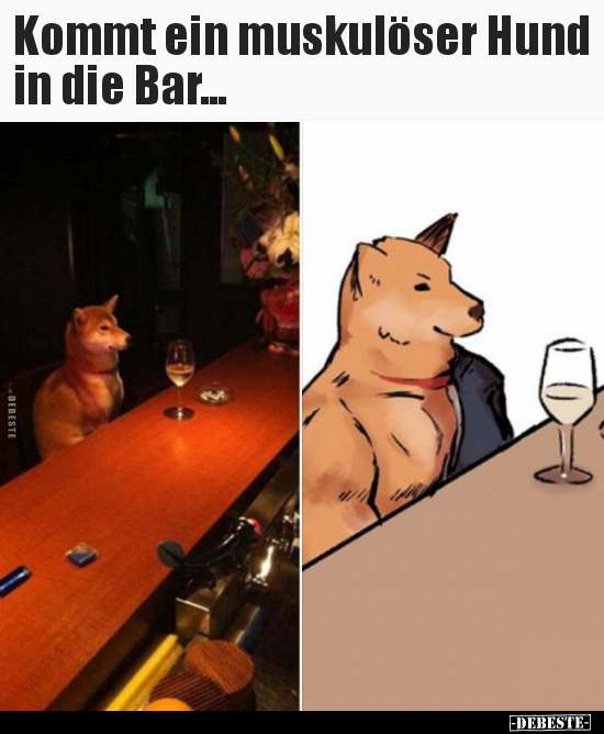 Kommt ein muskulöser Hund in die Bar...