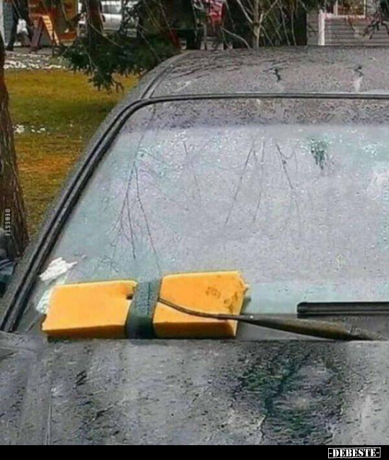  - Lustige Bilder | DEBESTE.de