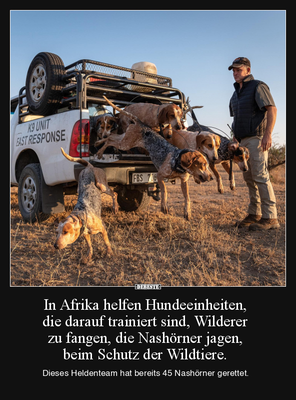 In Afrika helfen Hundeeinheiten, die darauf trainiert.. - Lustige Bilder | DEBESTE.de