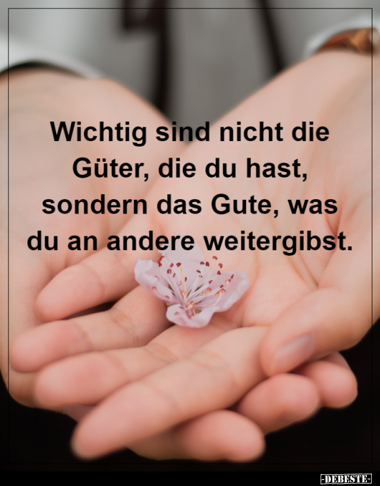 Wichtig sind nicht die Güter, die du hast, sondern das..