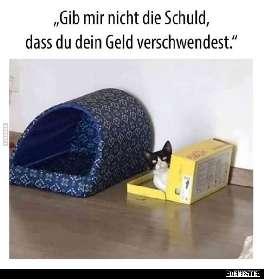 "Gib mir nicht die Schuld, dass du dein Geld verschwendest."