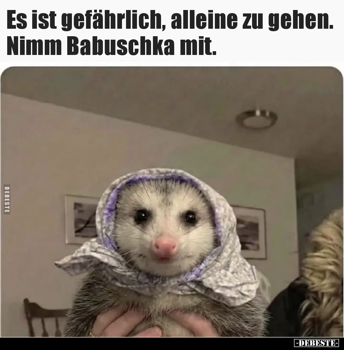 Es ist gefährlich, alleine zu gehen. Nimm Babuschka mit.