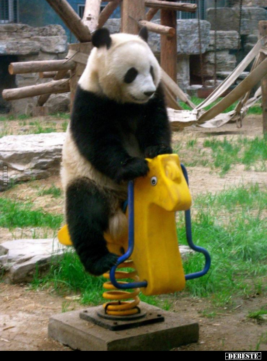  - Lustige Bilder | DEBESTE.de