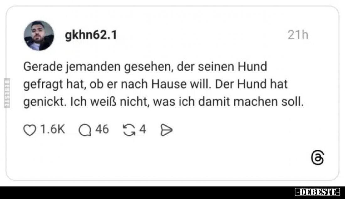 Gerade jemanden gesehen, der seinen Hund gefragt hat, ob er nach Hause will.
Der Hund hat genickt.
Ich weiß nicht, was ich ...