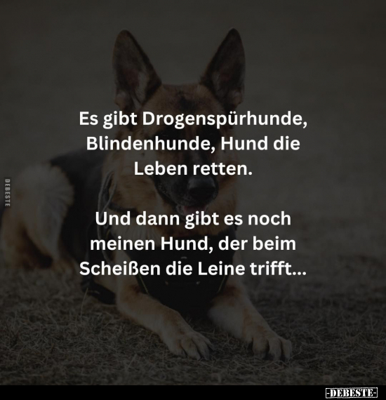 Es gibt Drogenspürhunde, Blindenhunde, Hund die Leben.. - Lustige Bilder | DEBESTE.de