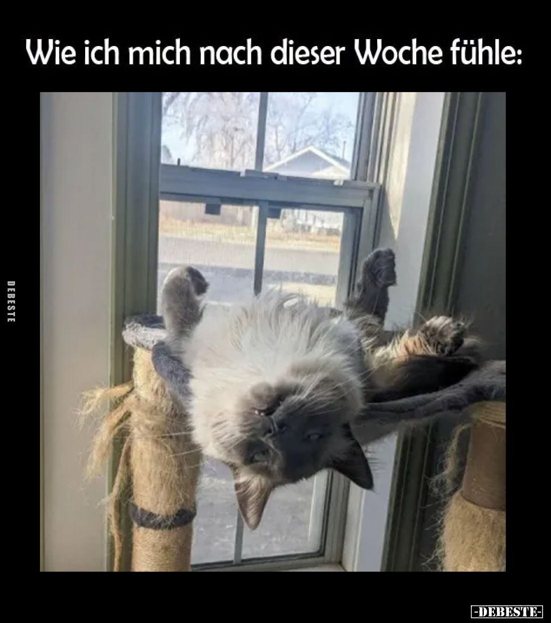 Wie ich mich nach dieser Woche fühle: