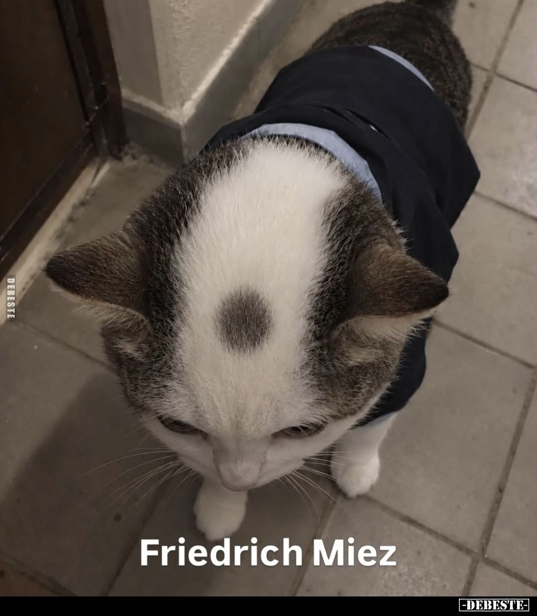 Friedrich Miez