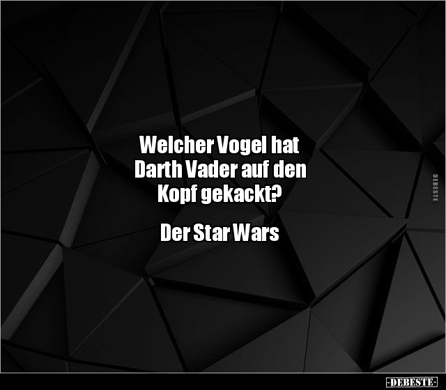 Welcher Vogel hat Darth Vader auf den Kopf.. - Lustige Bilder | DEBESTE.de