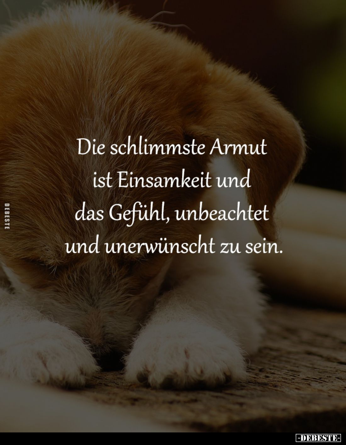Die schlimmste Armut 
ist Einsamkeit und 
das Gefühl, unbeachtet 
und unerwünscht zu sein.