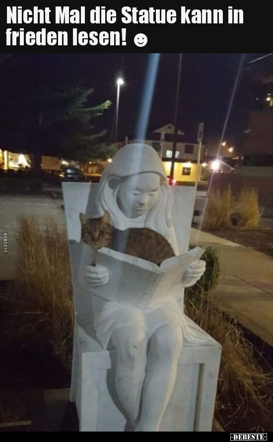 Nicht Mal die Statue kann in frieden lesen! ☻.. - Lustige Bilder | DEBESTE.de