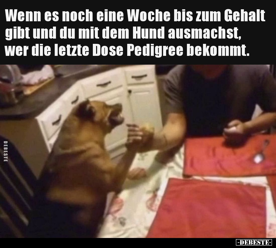 Wenn es noch eine Woche bis zum Gehalt gibt und du mit dem.. - Lustige Bilder | DEBESTE.de