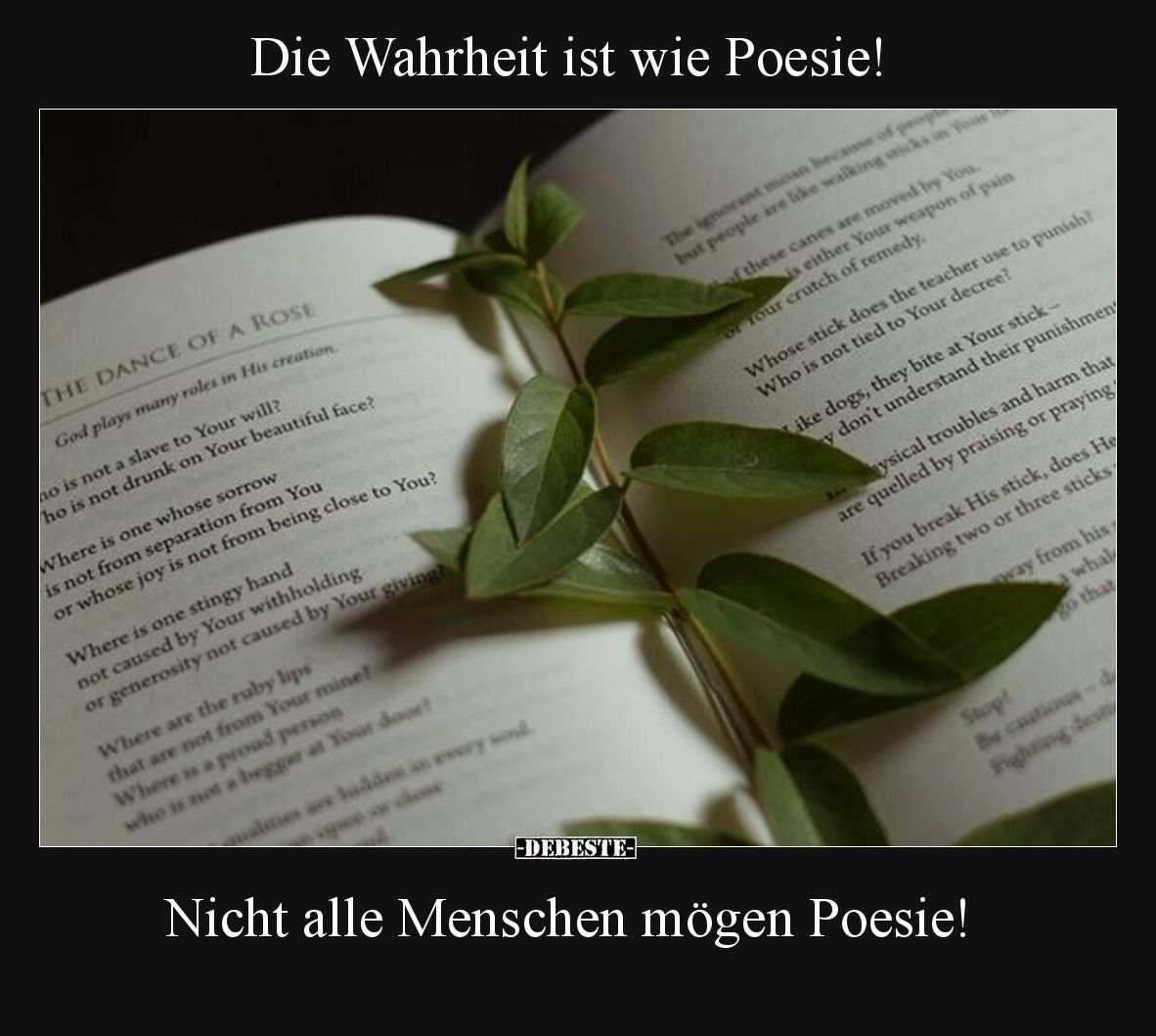 Die Wahrheit ist wie Poesie!

Nicht alle Menschen mögen Poesie!