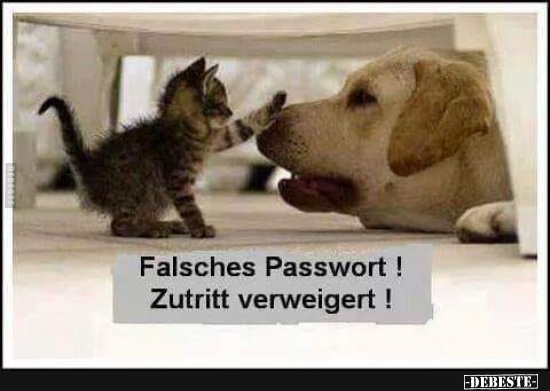 Falsches Passwort!