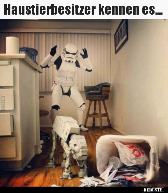 Haustierbesitzer kennen es... - Lustige Bilder | DEBESTE.de