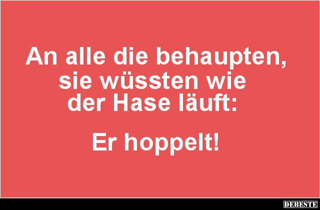 An alle die behaupten, sie wüssten wie der Hase läuft.. - Lustige Bilder | DEBESTE.de