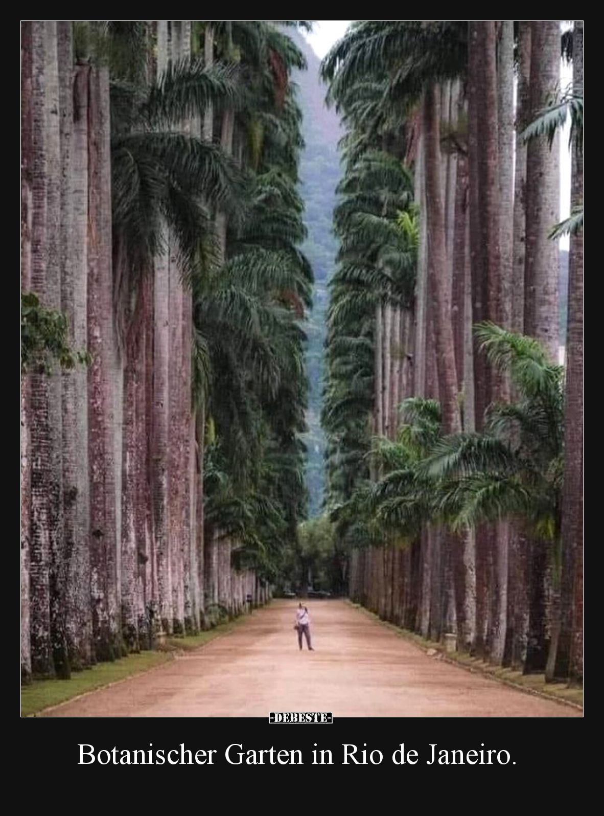 Botanischer Garten in Rio de Janeiro... - Lustige Bilder | DEBESTE.de