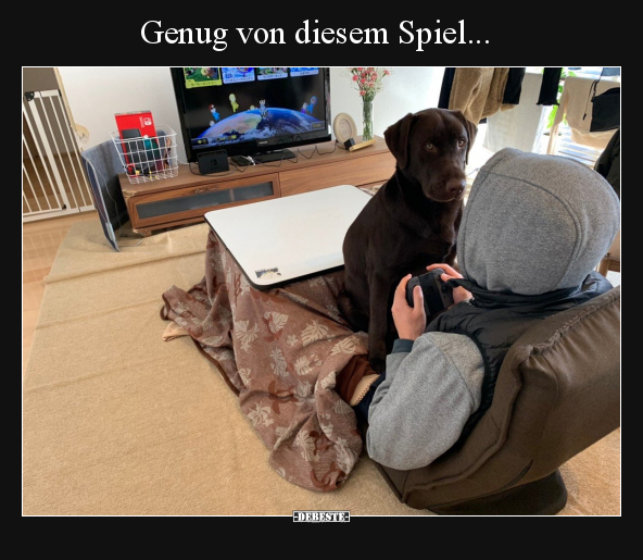Genug von diesem Spiel