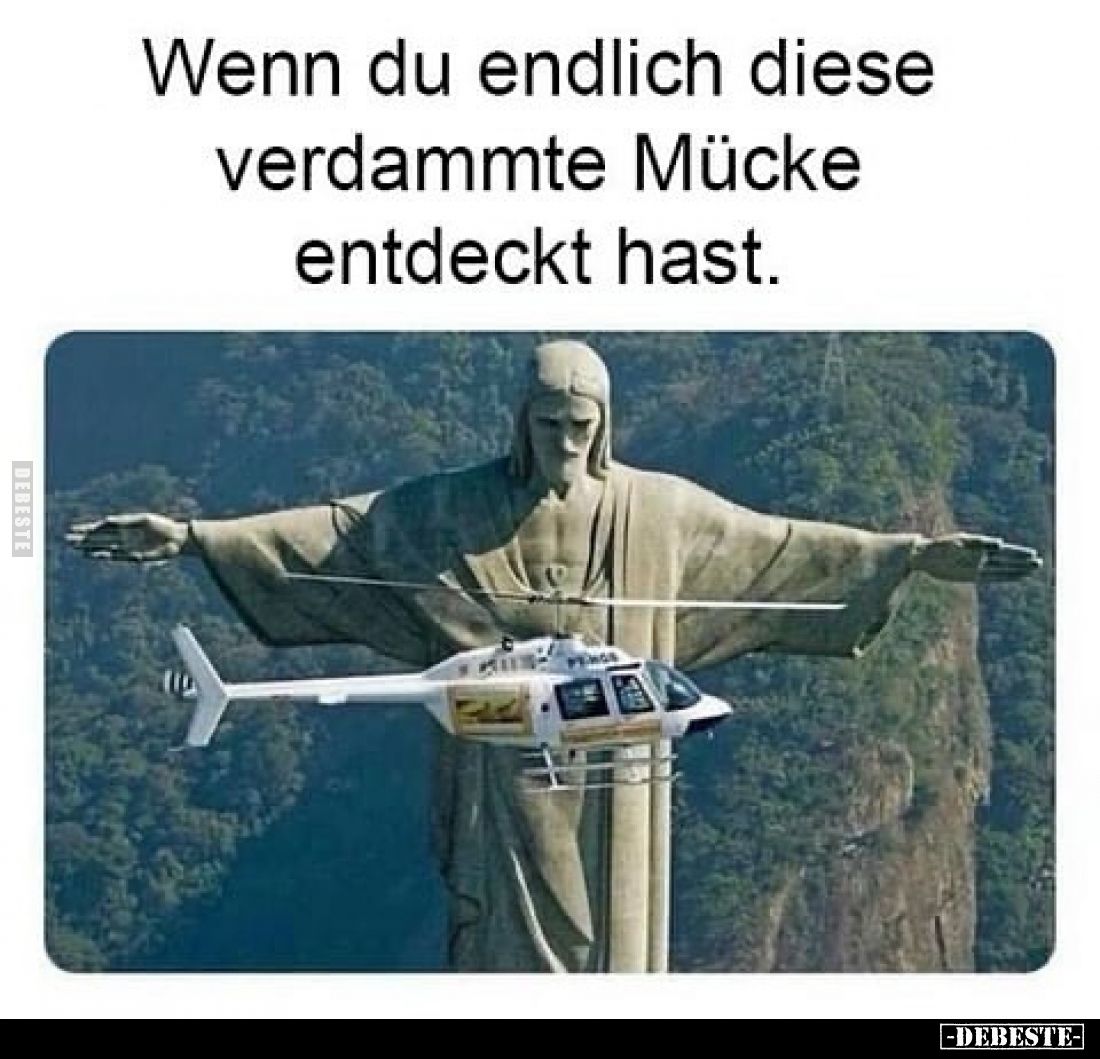 Wenn du endlich diese verdammte Mücke entdeckt hast.