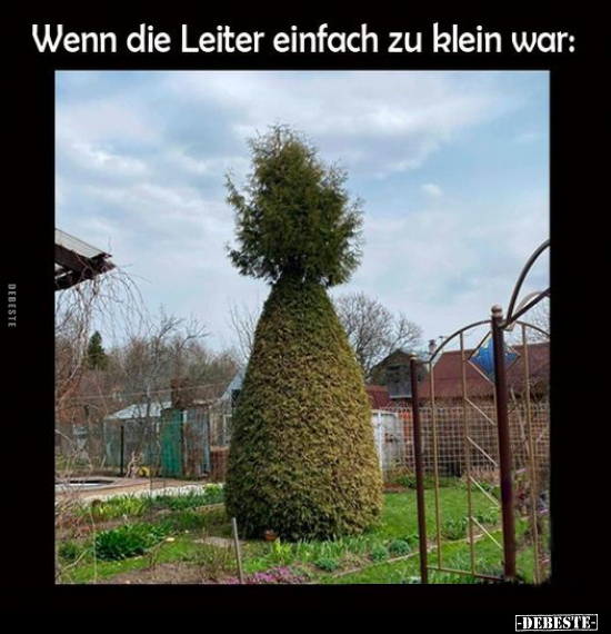 Wenn die Leiter einfach zu klein war.. - Lustige Bilder | DEBESTE.de