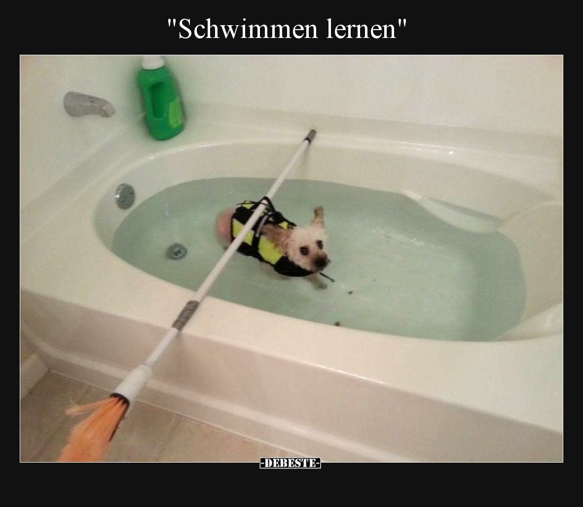 Schwimmen lernen
