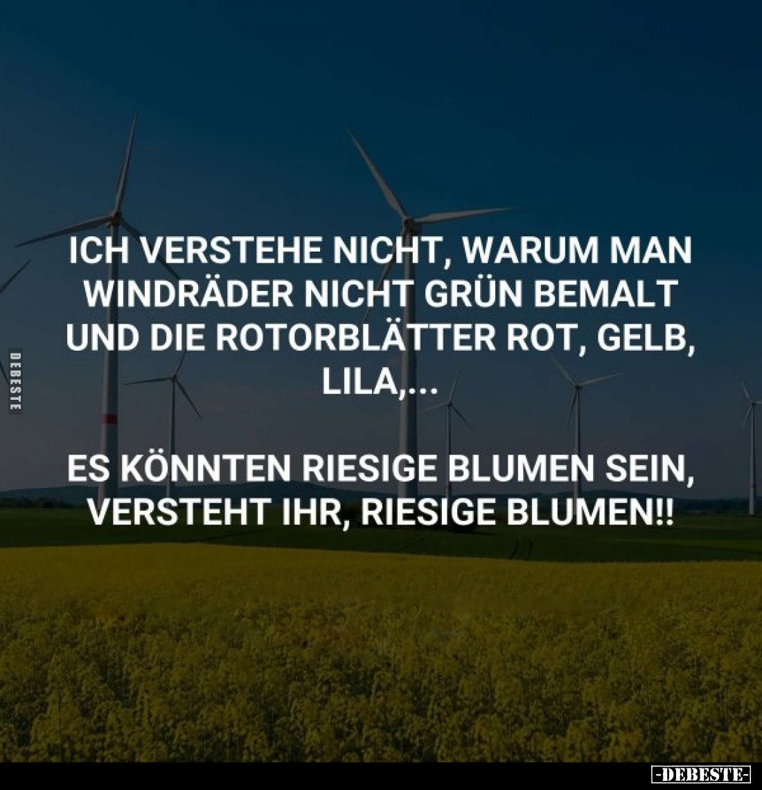 Ich verstehe nicht, warum man Windräder nicht grün bemalt und die Rotorblätter rot, gelb, lila,...
Es könnten riesige Blumen...
