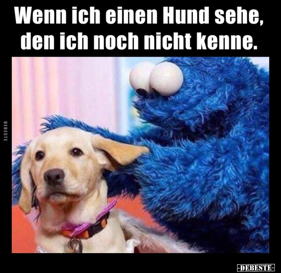 Wenn ich einen Hund sehe, den ich noch nicht kenne... - Lustige Bilder | DEBESTE.de