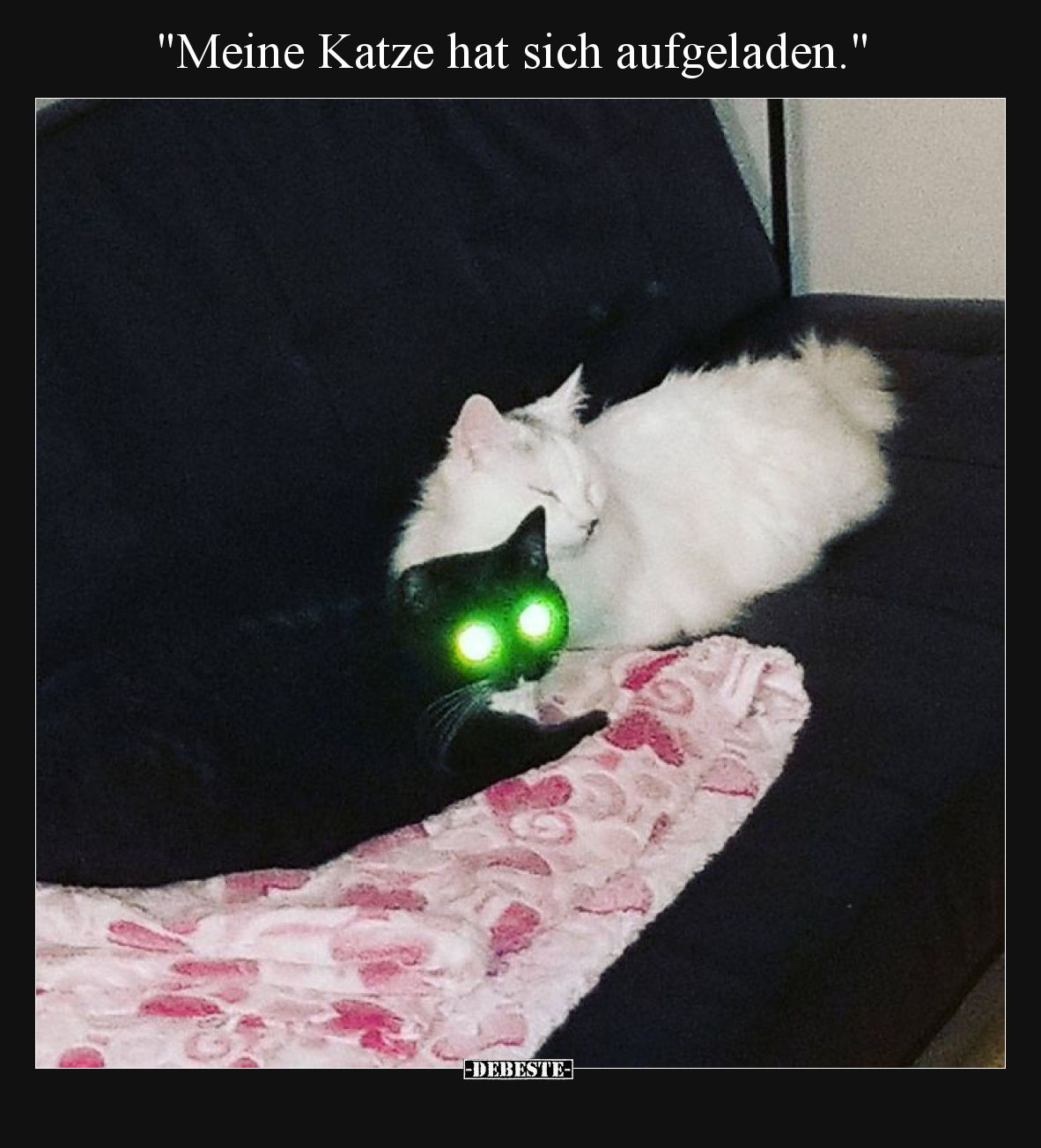 Meine Katze hat sich aufgeladen.