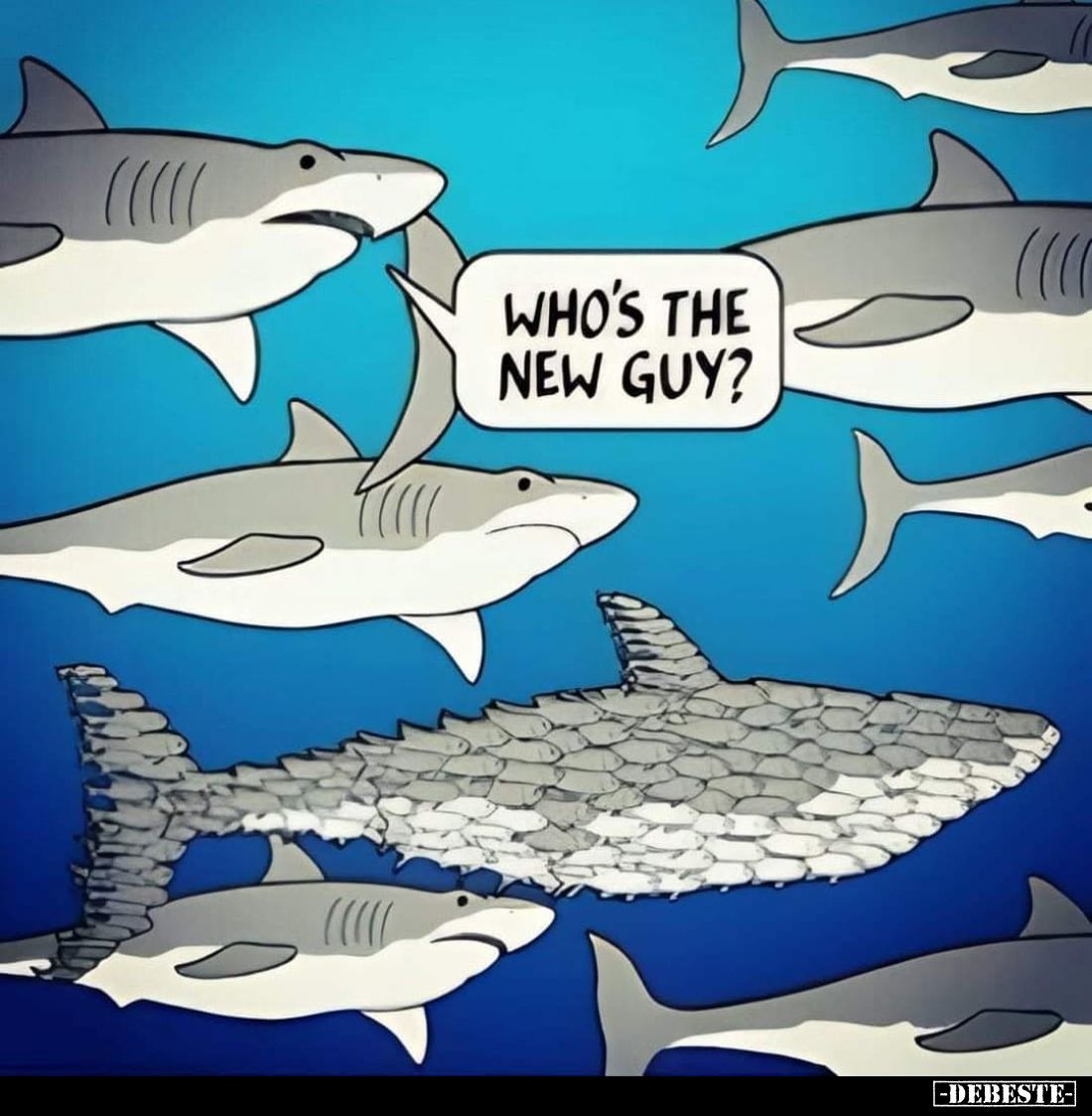 Who's the new guy?
