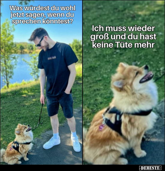 Was würdest du wohl jetzt sagen, wenn du sprechen könntest?

Ich muss wieder groß und du hast keine Tüte mehr.
