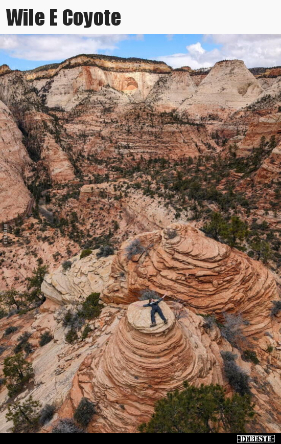 Wile E Coyote..