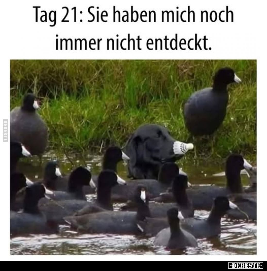 Tag 21: Sie haben mich noch immer nicht entdeckt.