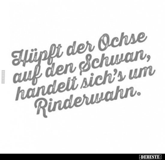 Hüpft der Ochse auf den Schwan.. - Lustige Bilder | DEBESTE.de